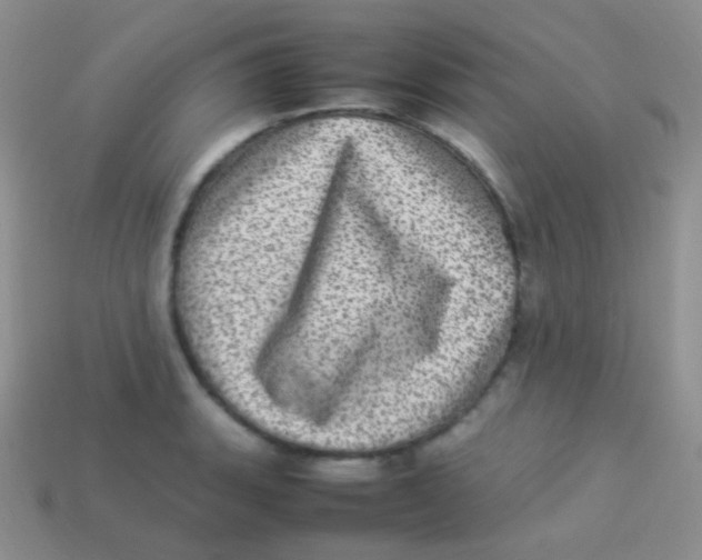 X0000113641135200910162031