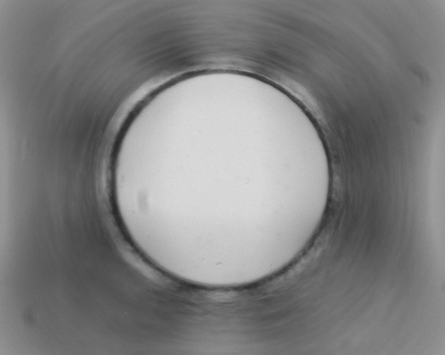 X0000113641136200910162031