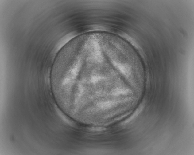 X0000113641137200910162031