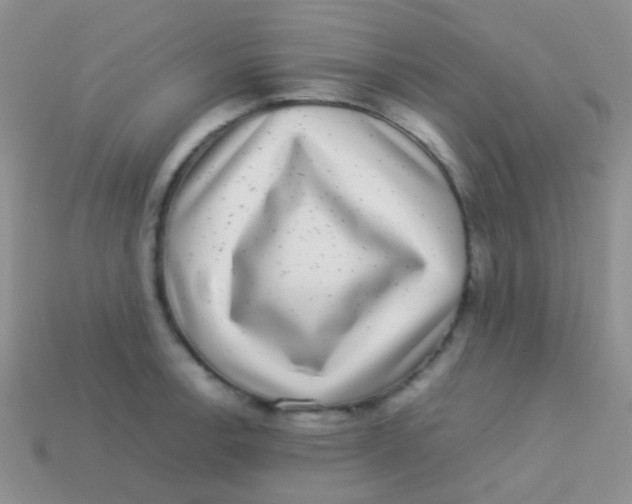 X0000113641138200910162031