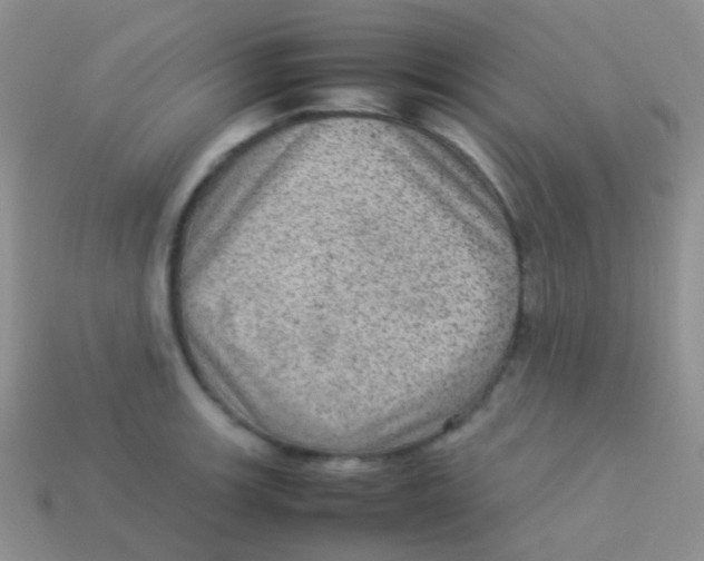 X0000113641139200910162031