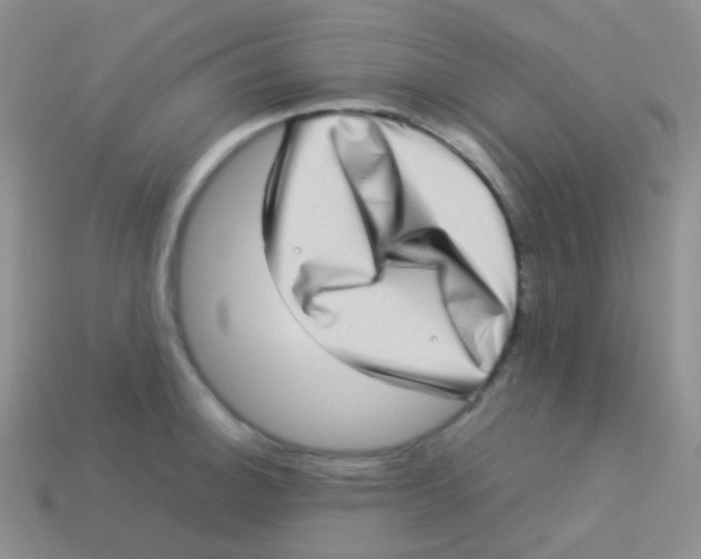 X0000113641140200910162031