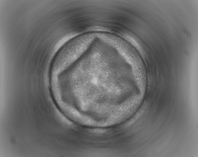 X0000113641141200910162031