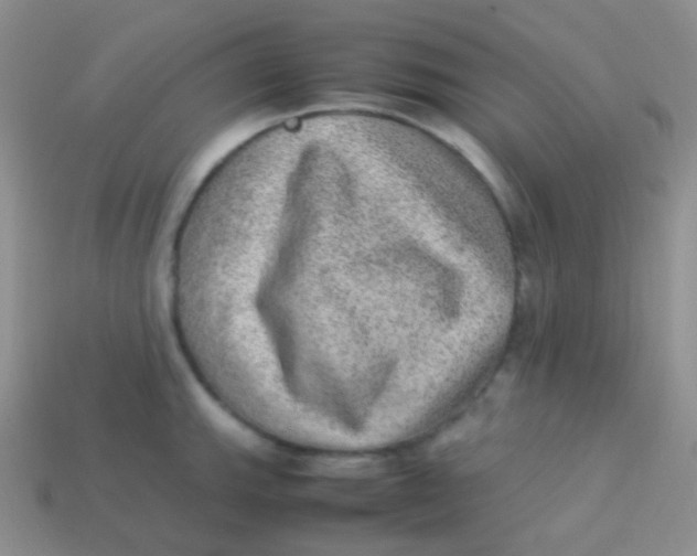 X0000113641143200910162031