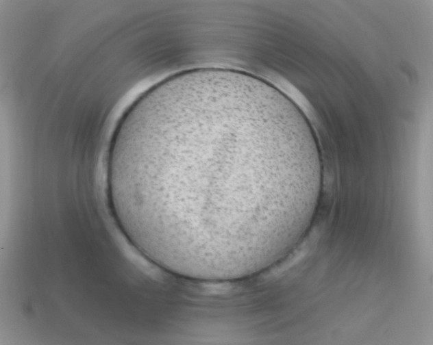 X0000113641144200910162031