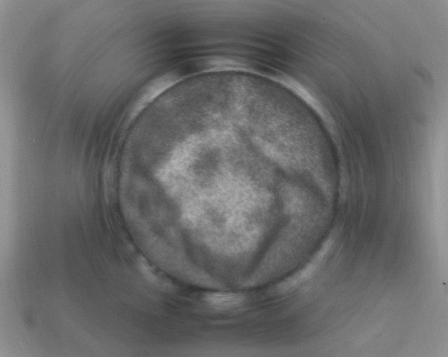 X0000113641145200910162031