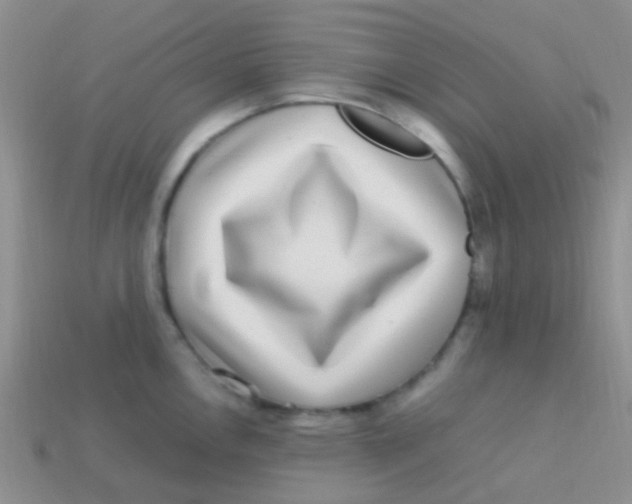 X0000113641146200910162031