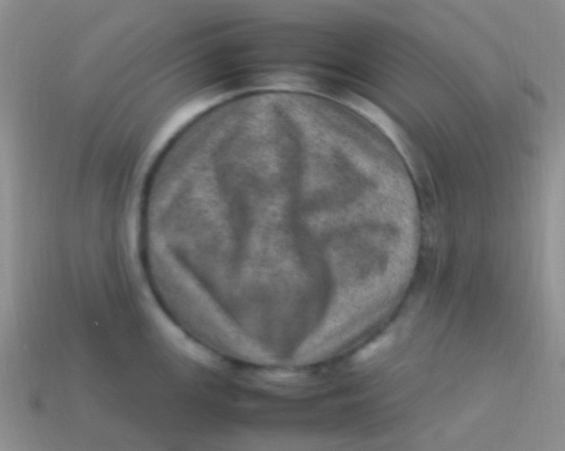 X0000113641147200910162032