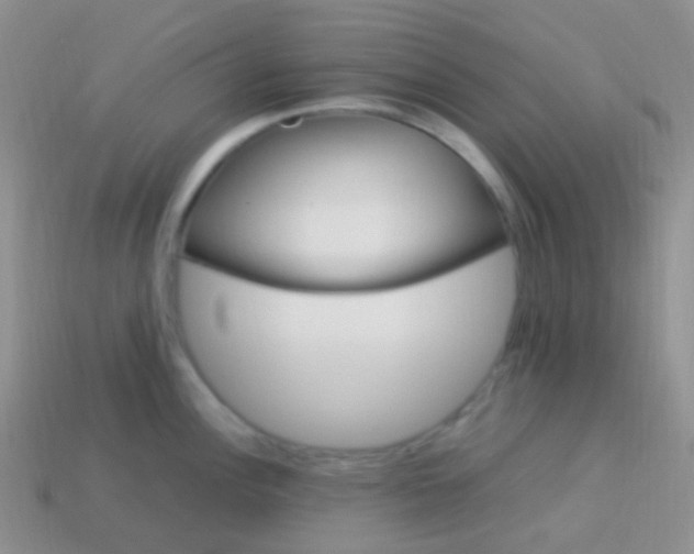 X0000113641148200910162032