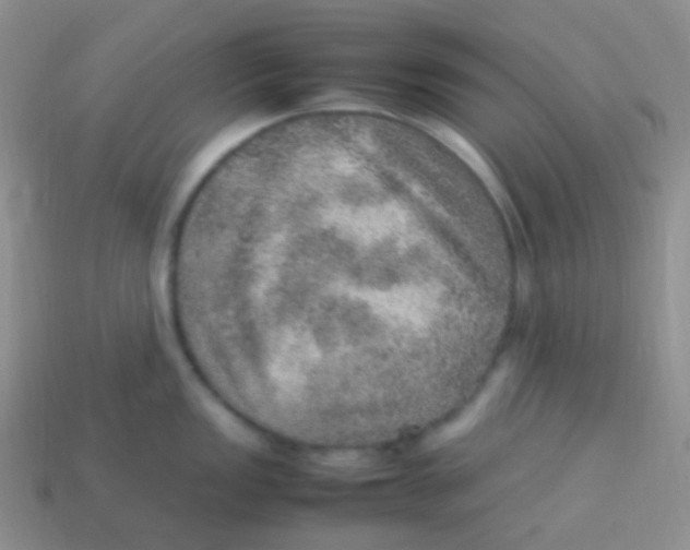 X0000113641149200910162032