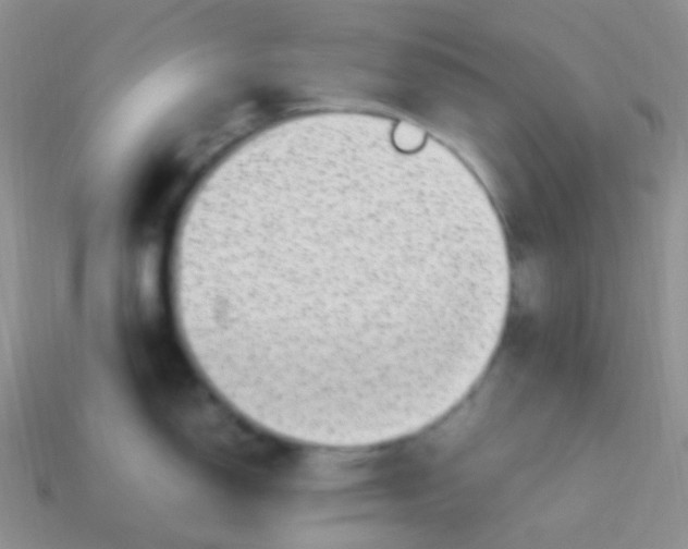 X0000113641150200910162032