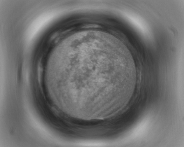 X0000113641151200910162032