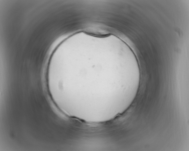 X0000113641152200910162032