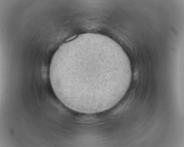 X0000113641156200910162031