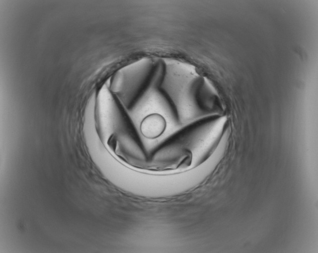 X0000113641157200910162031