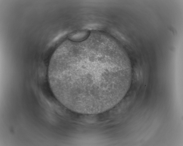 X0000113641158200910162031