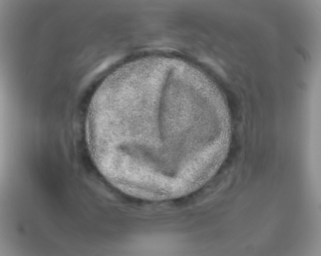 X0000113641159200910162031