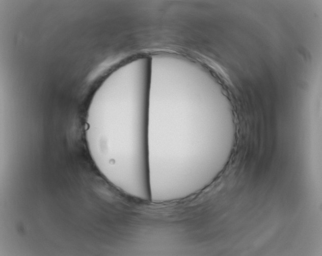 X0000113641160200910162031