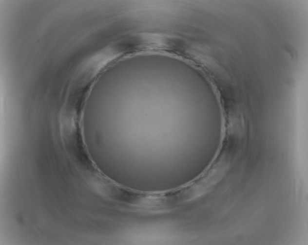 X0000113641161200910162031