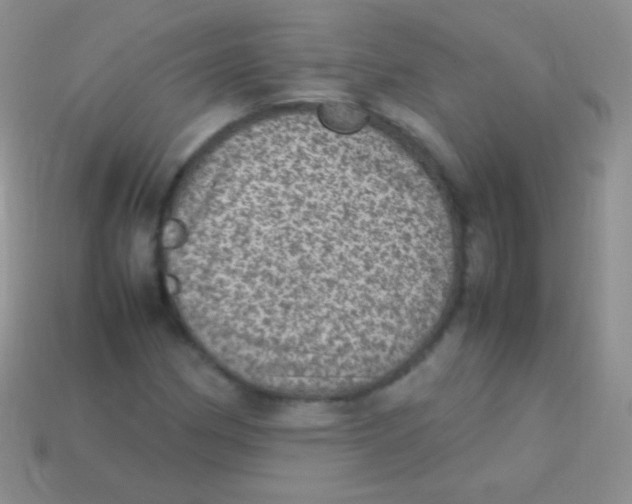 X0000113641162200910162031