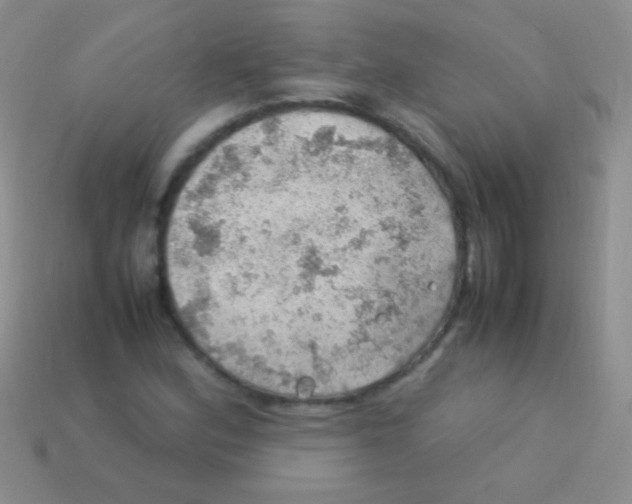 X0000113641164200910162031