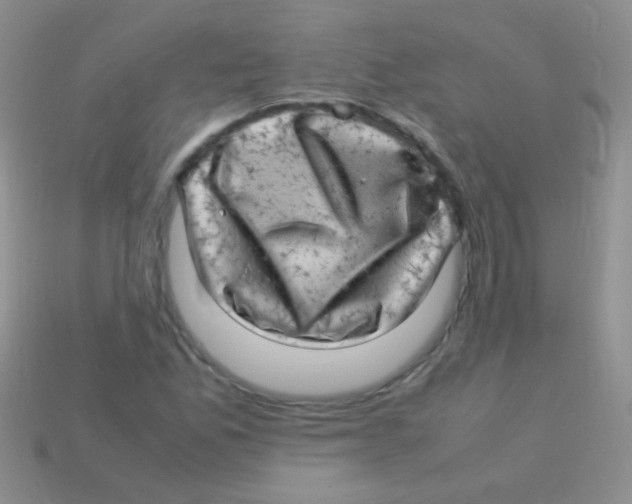 X0000113641165200910162031