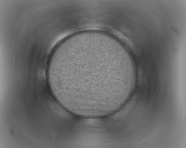 X0000113641166200910162031