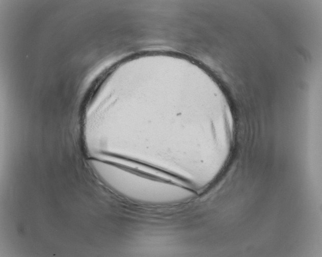 X0000113641167200910162031