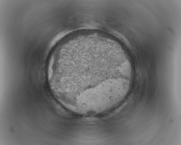 X0000113641168200910162031