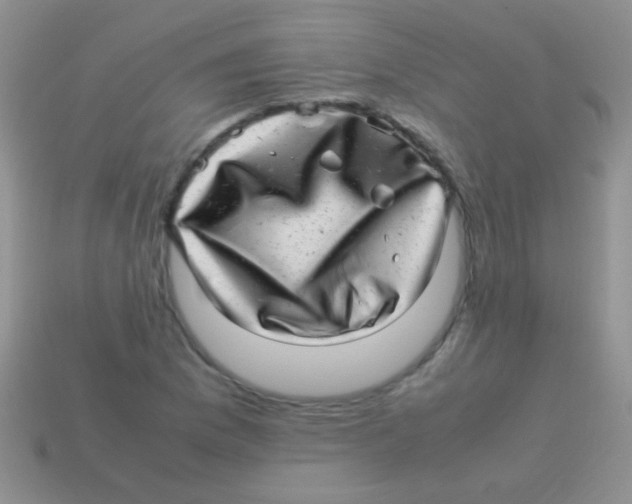 X0000113641169200910162031