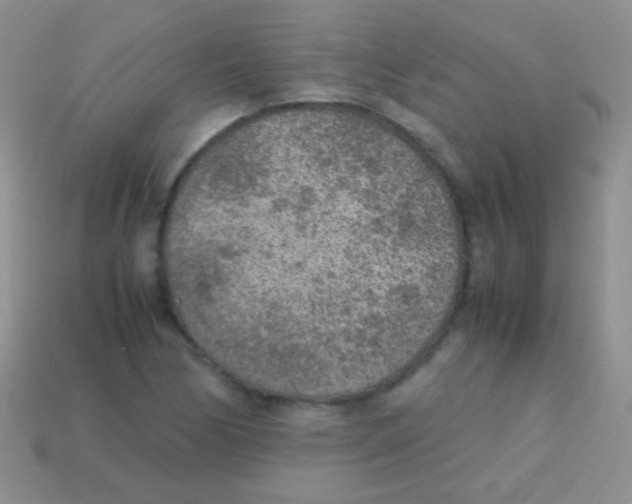 X0000113641170200910162031