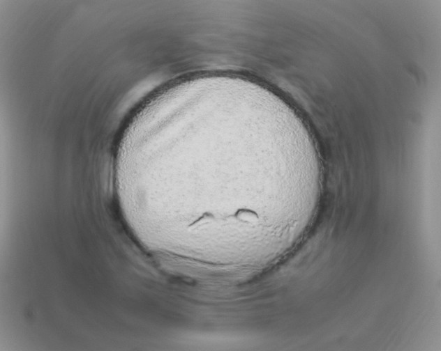 X0000113641171200910162031