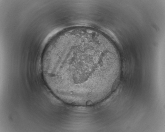 X0000113641172200910162031