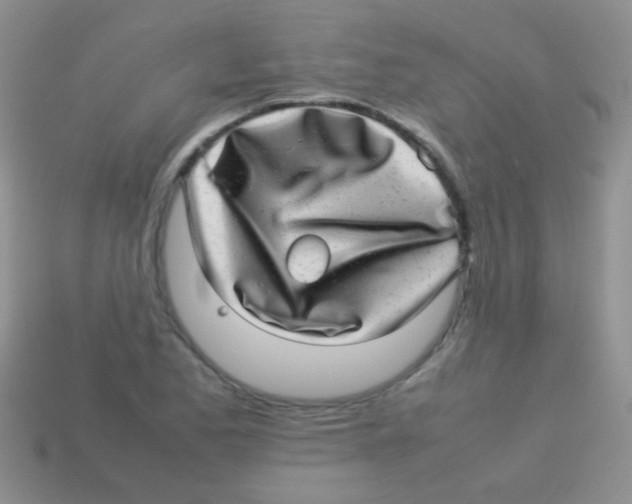 X0000113641173200910162031