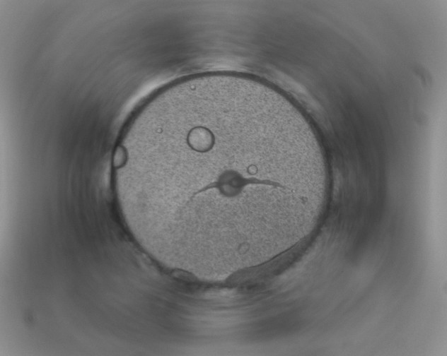 X0000113641174200910162031