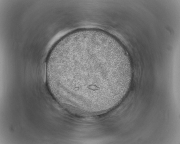 X0000113641175200910162031