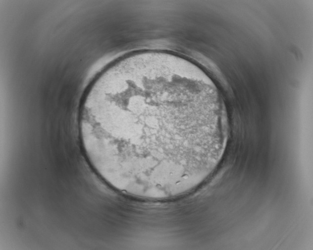 X0000113641176200910162031