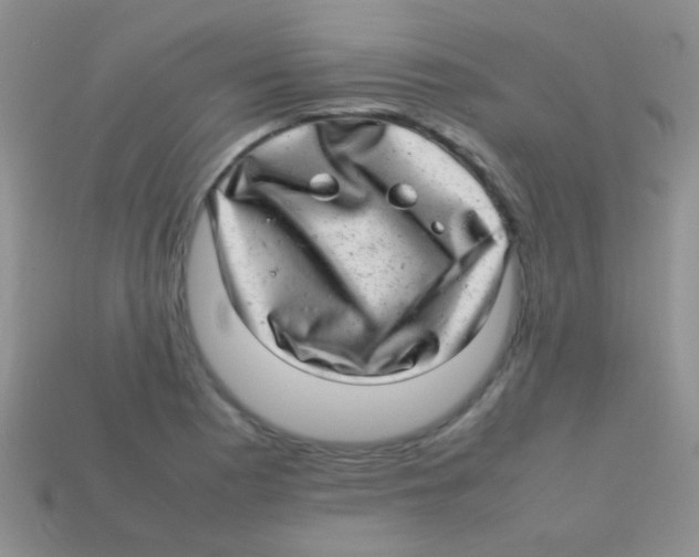 X0000113641177200910162031