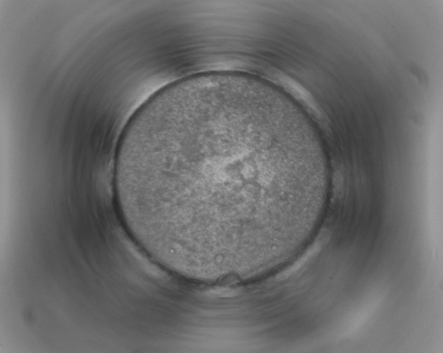 X0000113641178200910162031