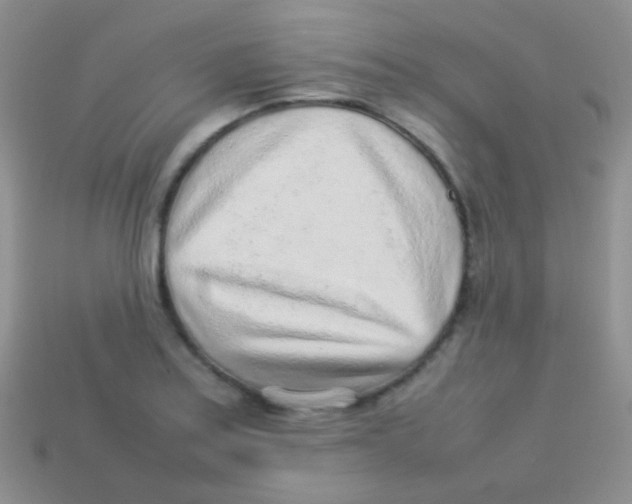 X0000113641179200910162031