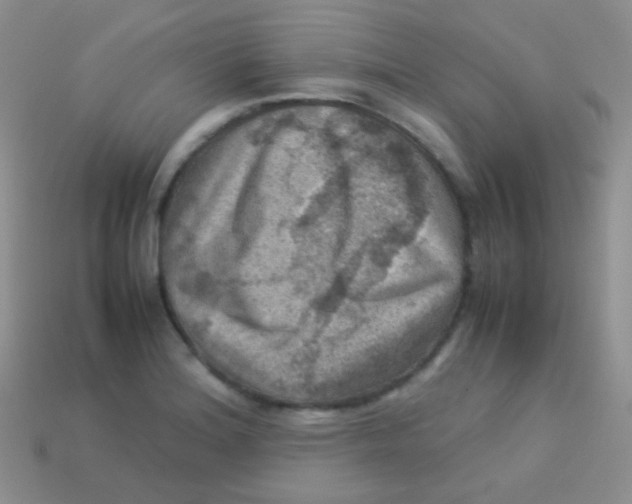 X0000113641180200910162031