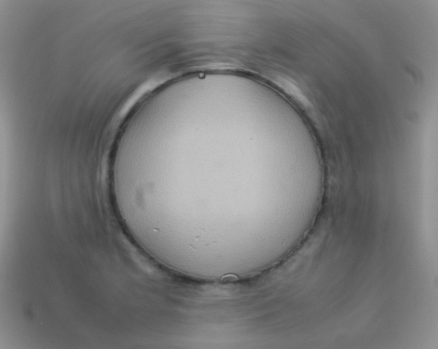 X0000113641181200910162031