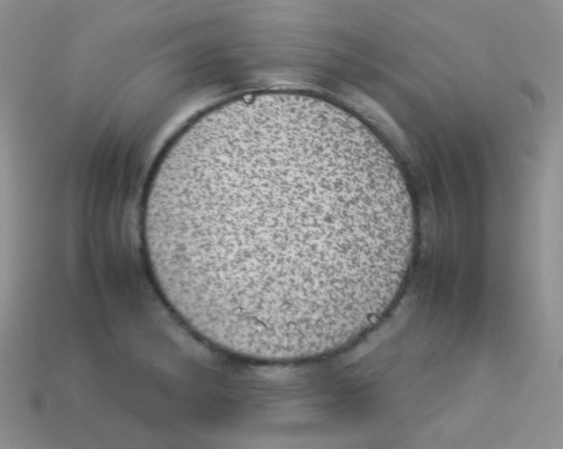 X0000113641182200910162031