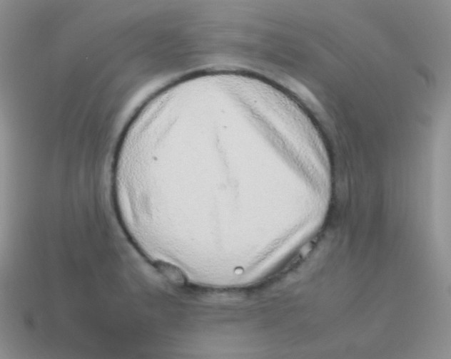 X0000113641183200910162031