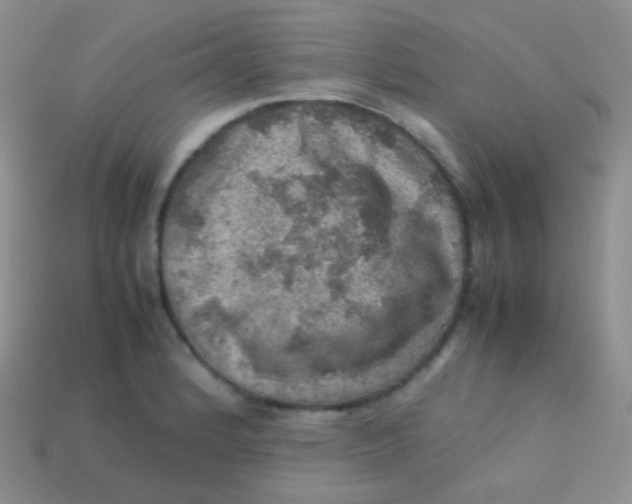 X0000113641184200910162031