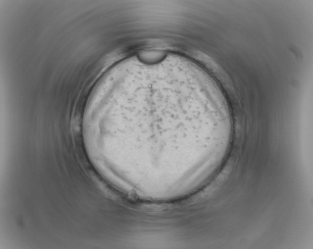 X0000113641185200910162031