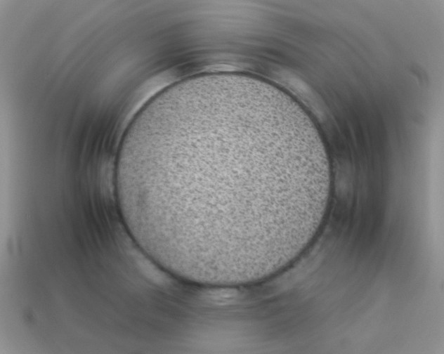 X0000113641186200910162031