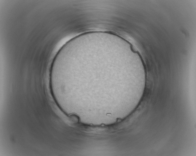 X0000113641187200910162030