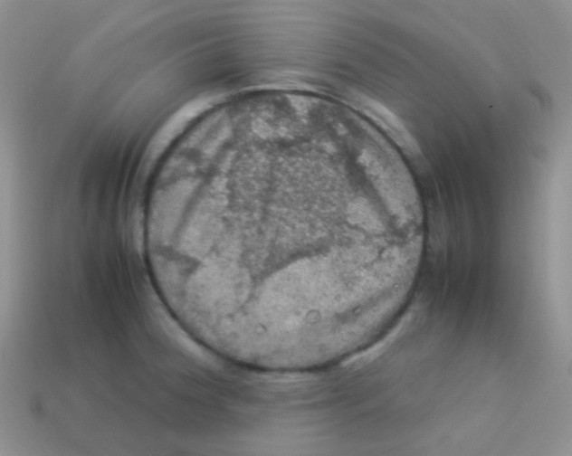 X0000113641188200910162030