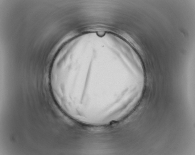 X0000113641189200910162030